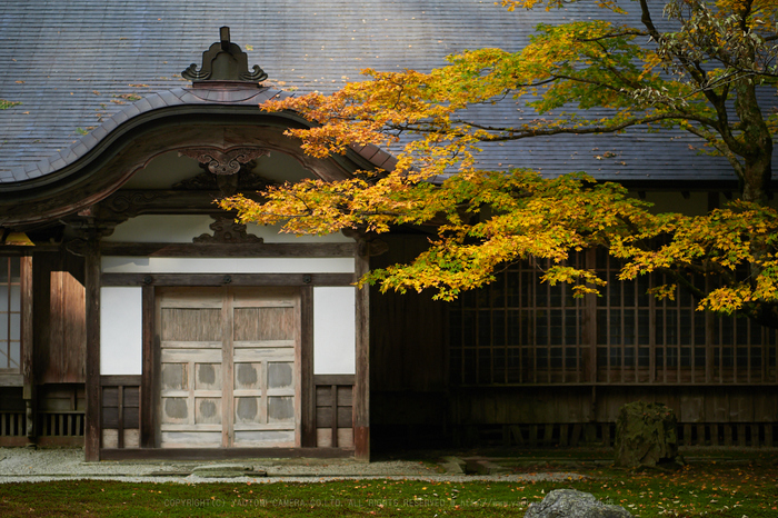 お写ん歩: OLYMPUS M.ZUIKO DIGITAL ED 45mm F1.2 PROアーカイブ お写ん歩: OLYMPUS M.ZUIKO DIGITAL ED 45mm F1.2 PROアーカイブ